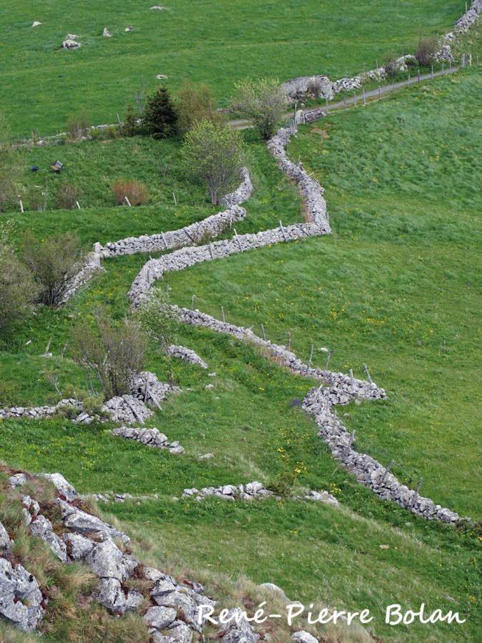 Gites Basques Laguiole Eksteriør bilde
